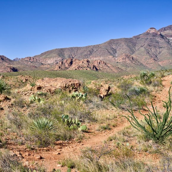 Meet your Posher, Norma - Picture 5 of 6